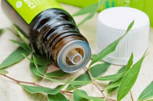 Dầu Neem. Tính chất và ứng dụng, lợi ích trong thẩm mỹ trẻ hóa da mặt