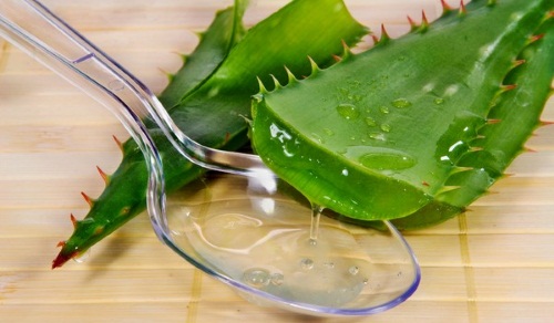 Dầu Neem. Tính chất và ứng dụng, lợi ích trong thẩm mỹ trẻ hóa da mặt
