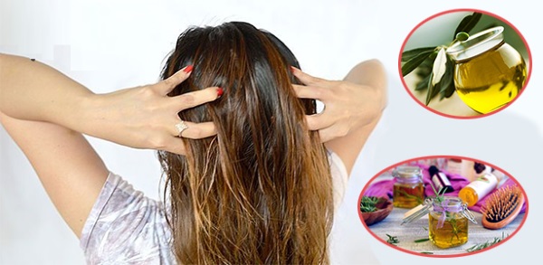 Dầu ô liu cho tóc: công thức làm mặt nạ, thoa với mật ong, trứng, lòng đỏ, quế. Làm thế nào để áp dụng vào ban đêm