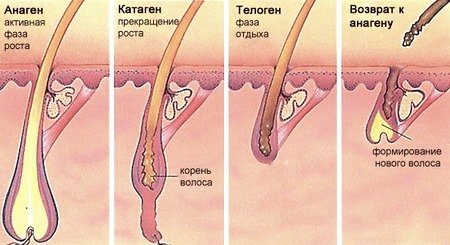Pantovigar. Hướng dẫn sử dụng, thành phần, cách uống vitamin chống rụng tóc, giúp mọc tóc. Tương tự