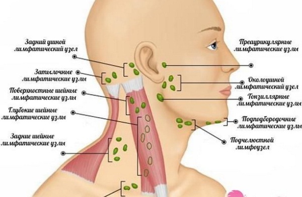 Massagem plástica de rosto e corpo. O que é, técnica, treinamento, resenhas e tutoriais em vídeo