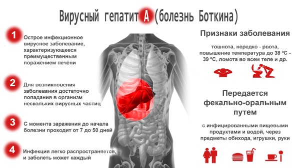 Tiogamma. Hướng dẫn sử dụng cho mặt. Ống nhỏ giọt, viên nén, dung dịch cho ống nhỏ giọt. Nhận xét của các chuyên gia thẩm mỹ, tương tự