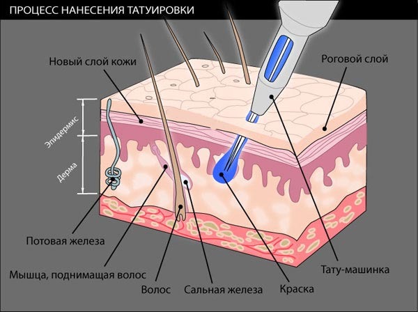 Запрашивање обрва. Шта је то, пудерасти, нано, тетоважа, трајна шминка, пиксел, сомот, хардвер