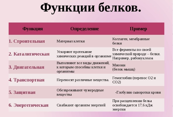 Највише протеинске хране. Листа за мршављење, дебљање, изградњу мишића, материнство, вегетаријанце