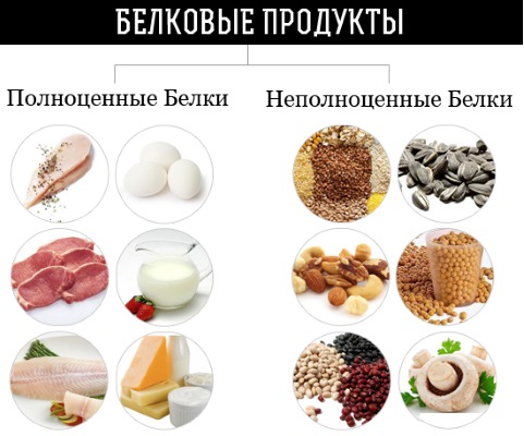 Највише протеинске хране. Листа за мршављење, дебљање, изградњу мишића, материнство, вегетаријанце