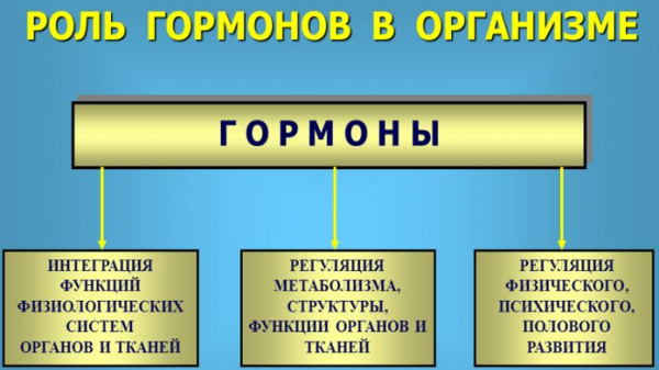 ДХЕА. Упутство за употребу. Шта је то за жене, мушкарце. С хормон са ниским, повишеним АМХ. Где купити, цена у апотеци