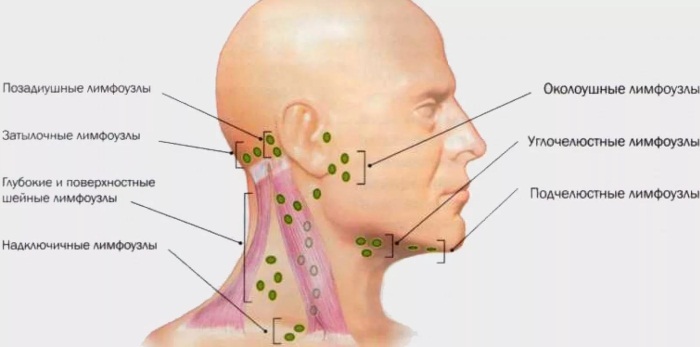 Bọ trên mặt: là gì, làm thế nào để loại bỏ. Tập thể dục, thể thao, massage làm săn chắc vùng kín tại nhà
