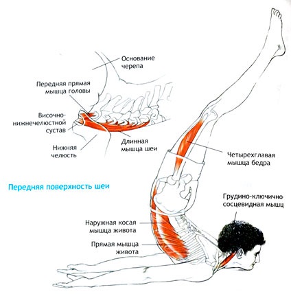 Cách làm eo thon dáng đẹp. Tập thể dục, thể dục, yoga, ăn kiêng