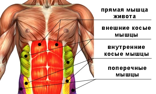 Bộ bài tập bấm máy dành cho các bạn nữ. Tập luyện hiệu quả với con lăn, bánh xe, xà ngang, ghế dài, ghế