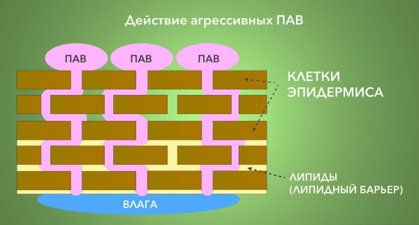 Професионална нега косе: козметика, маске, шампони, народни лекови. Правила неге