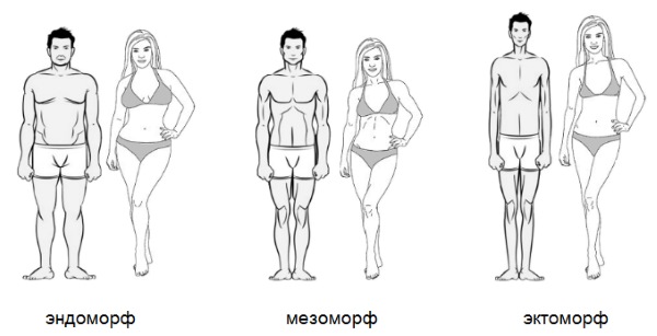 Tập luyện tại nhà cho tất cả các nhóm cơ. Chương trình với Reutova, không có thiết bị, cho ectomorph, giảm cân, cho báo chí
