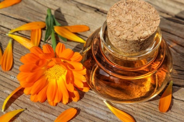 Minyak calendula. Sifat dan aplikasi untuk rambut, wajah, bulu mata, kuku. Kosmetik, hidrofilik, penting. Apa yang hendak dibeli dan cara memasak