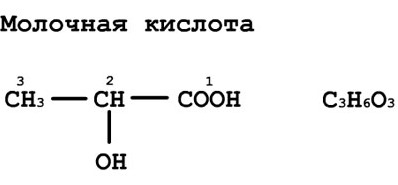 Како уклонити млечну киселину из мишића из тела након тренинга, како се формира, како утиче, особине