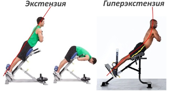 Hạ huyết áp. Nó là gì, một trình mô phỏng, một kỹ thuật thực thi. Cách thực hiện bài tập tại nhà mà không cần thiết bị mô phỏng, trên một quả bóng lăn. Chống chỉ định