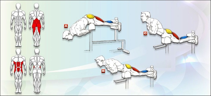 Hạ huyết áp. Nó là gì, một trình mô phỏng, một kỹ thuật thực thi. Cách thực hiện bài tập tại nhà mà không cần thiết bị mô phỏng, trên một quả bóng lăn. Chống chỉ định