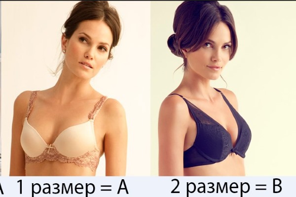 أثداء أنثى جميلة وكبيرة وصغيرة. أنواع وأشكال وأحجام. صورة