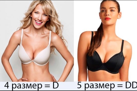 أثداء أنثى جميلة وكبيرة وصغيرة. أنواع وأشكال وأحجام. صورة
