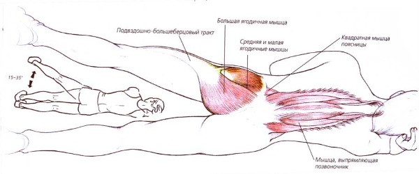 Вежбе обликовања за мршављење код куће. Видео часови фитнеса, вежбе за почетнике, програм тренинга