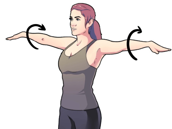Latihan tangan untuk kanak-kanak perempuan di rumah. Bersenam dengan dan tanpa dumbbell, berat badan untuk bisep, trisep. Cara membina otot