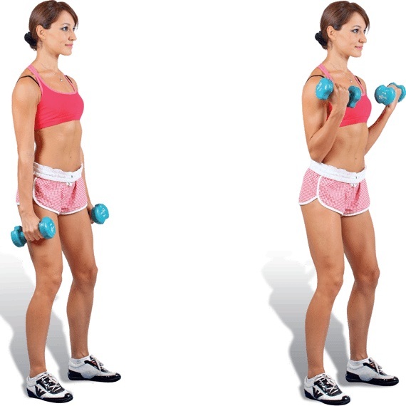 Latihan tangan untuk kanak-kanak perempuan di rumah. Bersenam dengan dan tanpa dumbbell, berat badan untuk bisep, trisep. Cara membina otot
