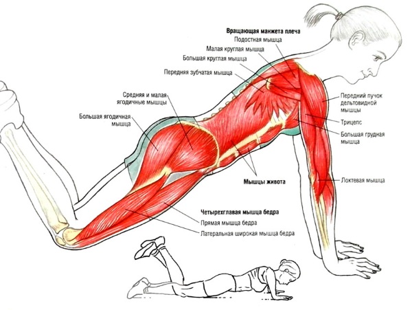 Latihan tangan untuk kanak-kanak perempuan di rumah. Bersenam dengan dan tanpa dumbbell, berat badan untuk bisep, trisep. Cara membina otot