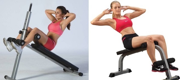 Các bài tập gym cho nữ cơ bản cho tất cả các nhóm cơ, giảm cân