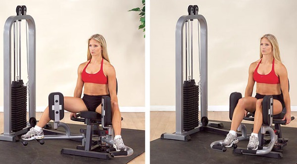 Các bài tập gym cho nữ cơ bản cho tất cả các nhóm cơ, giảm cân