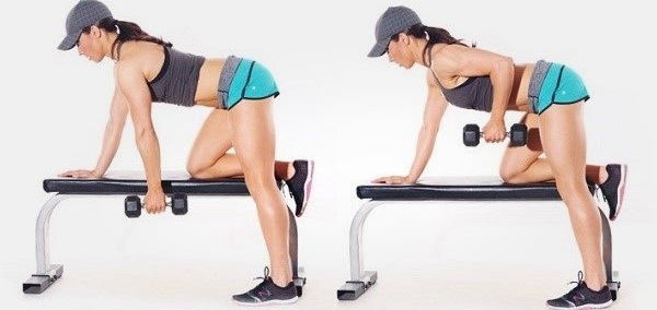 Các bài tập gym cho nữ cơ bản cho tất cả các nhóm cơ, giảm cân