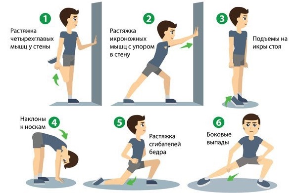 Các bài tập gym cho nữ cơ bản cho tất cả các nhóm cơ, giảm cân