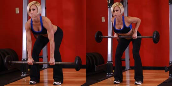 Các bài tập gym cho nữ cơ bản cho tất cả các nhóm cơ, giảm cân