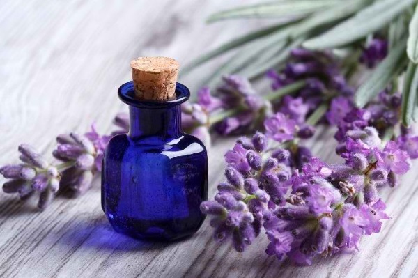 Dầu hoa oải hương. Công thức sử dụng, từ chí, trứng, hàm lượng chất béo, lợi ích, thành phần