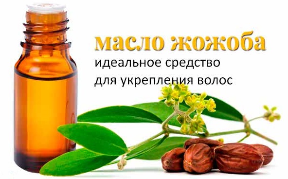 Уље за подељене крајеве, крајеве. Неопходне хранљиве састојке, поврће. Шта купити, пријава