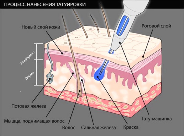 Трајна шминка за обрве. Контраиндикације, последице, компликације