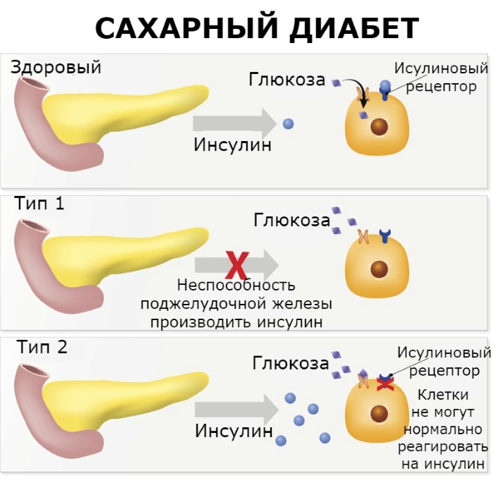 Арганово уље. Особине и примена у козметологији за косу, кожу, гутање