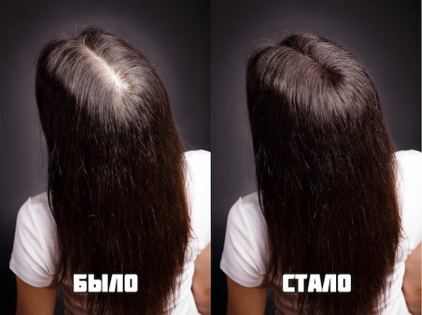 Dầu Bey cho tóc. Ứng dụng, lợi ích, giá cả ở hiệu thuốc, nơi mua, đánh giá