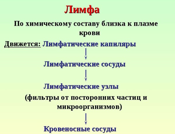 Ручна масажа лимфне дренаже. Предности, како се осећати као код куће