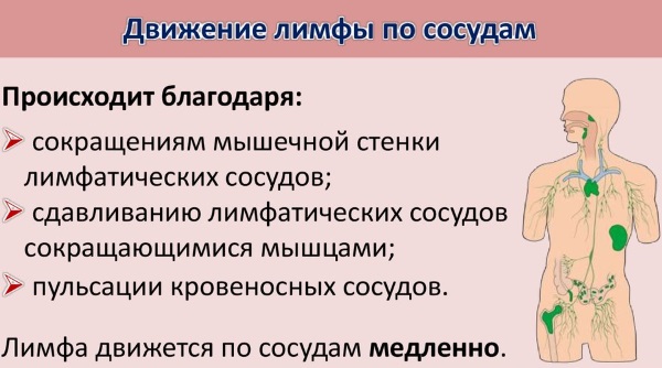 Ручна масажа лимфне дренаже. Предности, како се осећати као код куће