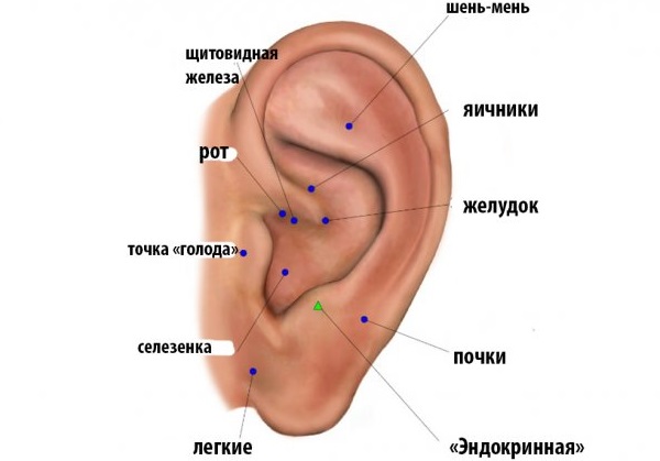 Тачке на телу за мршављење стомака, бокова, бокова. Акупунктура људског тела, дијаграм, фотографија, видео