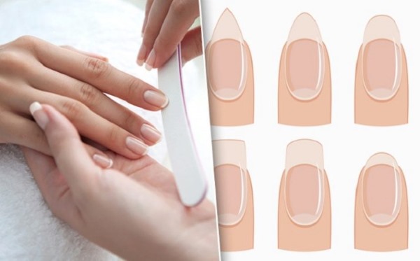 Tudo para extensão de unhas com gel, acrílico, para formas, pontas. Aulas passo a passo para iniciantes, foto