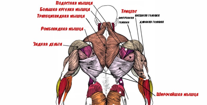 Chạy bộ tại chỗ để giảm cân. Kỹ thuật, thời gian, bài tập đốt cháy calo