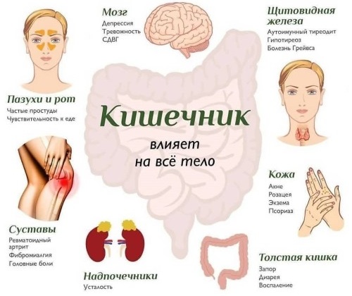 Како брзо уклонити доњи део стомака код жена. Вежба, облози, дијета