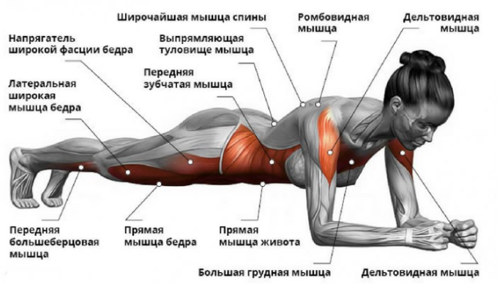 Како брзо уклонити доњи део стомака код жена.Вежба, облози, дијета