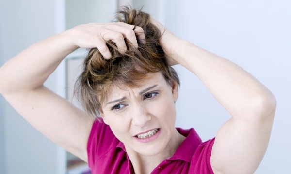 Các loại lược massage tốt nhất cho tóc. Cách chọn chuyên gia, giá cả và đánh giá