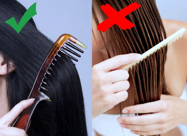 Các loại lược massage tốt nhất cho tóc. Cách chọn chuyên gia, giá cả và đánh giá