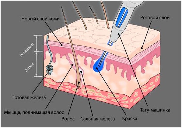 Прашење обрва. Шта је то, колико траје, пре и после фотографија, последица, прегледа
