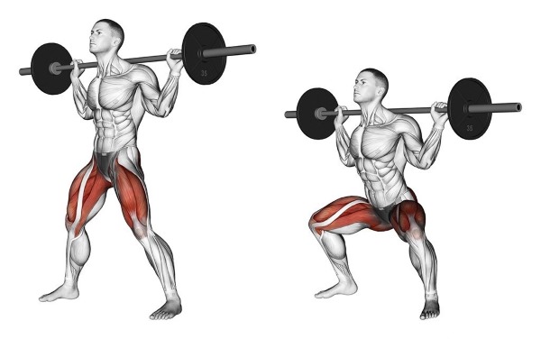 Ngồi xổm với thanh tạ trên vai. Kỹ thuật thực hiện, lợi ích, cơ hoạt động
