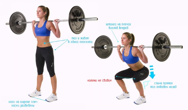 Ngồi xổm với thanh tạ trên vai. Kỹ thuật thực hiện, lợi ích, cơ hoạt động