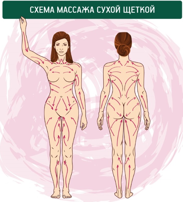 Bàn chải massage khô với lông bàn chải tự nhiên, xương rồng, chống cellulite. Giá cả và đánh giá