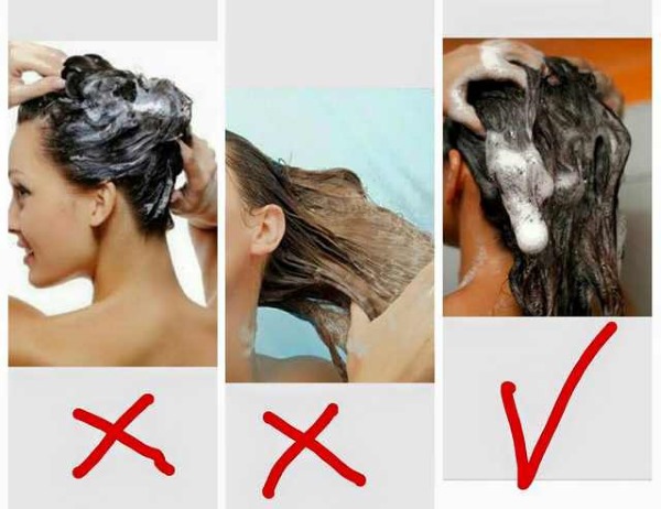 Dầu gội, mặt nạ, dầu dưỡng dành cho tóc dễ gãy rụng: điều trị, làm dày, chăm sóc, cách phục hồi