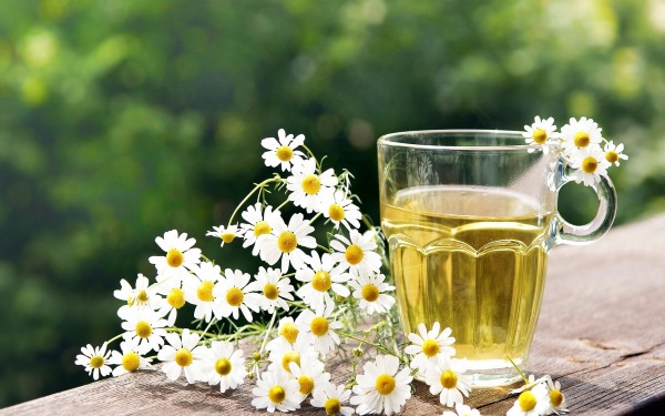 Dầu gội, mặt nạ, dầu dưỡng dành cho tóc dễ gãy rụng: điều trị, làm dày, chăm sóc, cách phục hồi